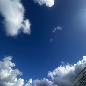 Meet your Posher, Judith